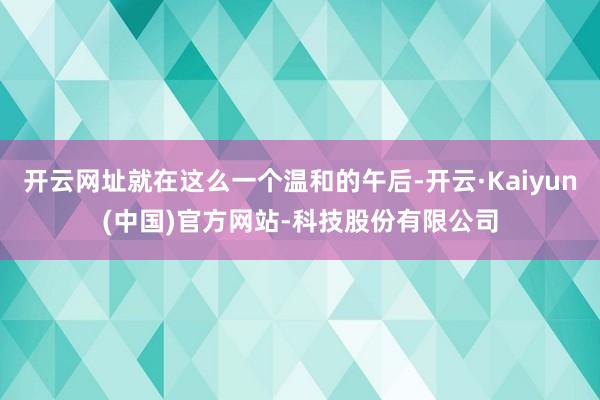 开云网址就在这么一个温和的午后-开云·Kaiyun(中国)官方网站-科技股份有限公司