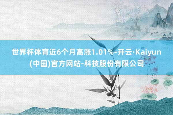 世界杯体育近6个月高涨1.01%-开云·Kaiyun(中国)官方网站-科技股份有限公司