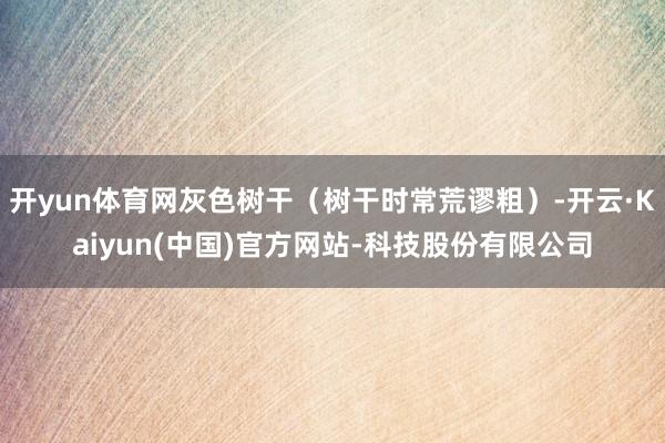 开yun体育网灰色树干（树干时常荒谬粗）-开云·Kaiyun(中国)官方网站-科技股份有限公司