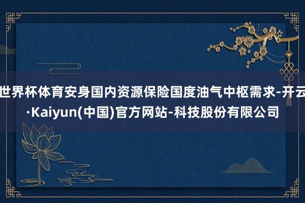 世界杯体育安身国内资源保险国度油气中枢需求-开云·Kaiyun(中国)官方网站-科技股份有限公司