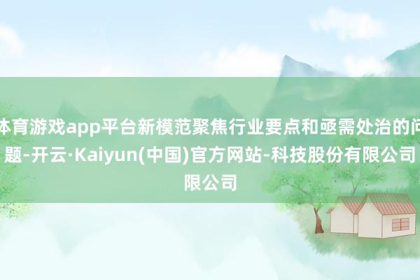 体育游戏app平台新模范聚焦行业要点和亟需处治的问题-开云·Kaiyun(中国)官方网站-科技股份有限公司