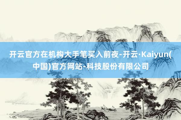 开云官方在机构大手笔买入前夜-开云·Kaiyun(中国)官方网站-科技股份有限公司