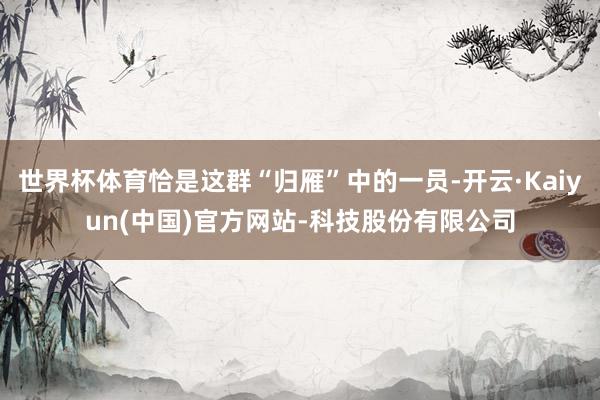 世界杯体育恰是这群“归雁”中的一员-开云·Kaiyun(中国)官方网站-科技股份有限公司