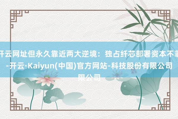 开云网址但永久靠近两大逆境：独占纤芯部署资本不菲-开云·Kaiyun(中国)官方网站-科技股份有限公司