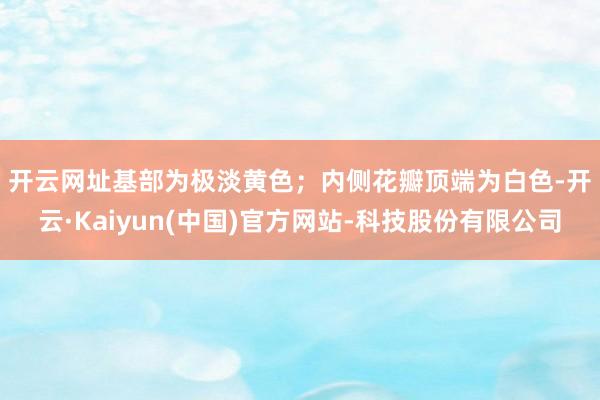 开云网址基部为极淡黄色；　　内侧花瓣顶端为白色-开云·Kaiyun(中国)官方网站-科技股份有限公司