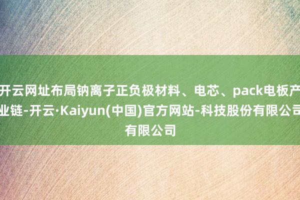 开云网址布局钠离子正负极材料、电芯、pack电板产业链-开云·Kaiyun(中国)官方网站-科技股份有限公司