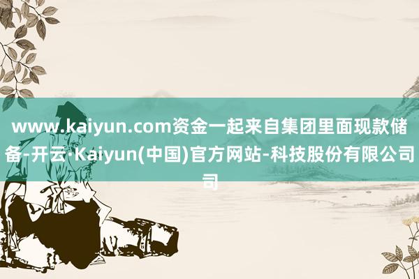 www.kaiyun.com资金一起来自集团里面现款储备-开云·Kaiyun(中国)官方网站-科技股份有限公司