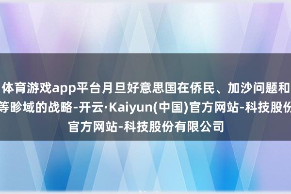 体育游戏app平台月旦好意思国在侨民、加沙问题和局面变化等畛域的战略-开云·Kaiyun(中国)官方网站-科技股份有限公司