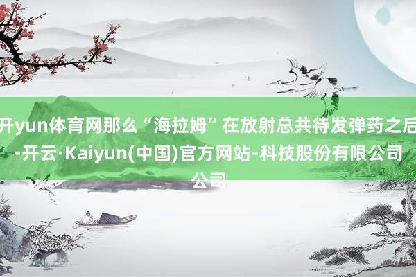 开yun体育网那么“海拉姆”在放射总共待发弹药之后-开云·Kaiyun(中国)官方网站-科技股份有限公司