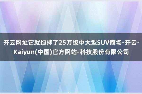 开云网址它就搅拌了25万级中大型SUV商场-开云·Kaiyun(中国)官方网站-科技股份有限公司