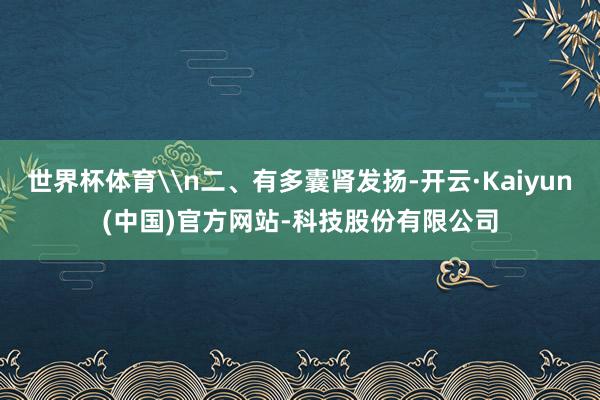 世界杯体育\n二、有多囊肾发扬-开云·Kaiyun(中国)官方网站-科技股份有限公司