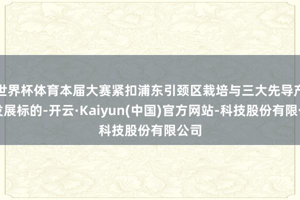 世界杯体育本届大赛紧扣浦东引颈区栽培与三大先导产业发展标的-开云·Kaiyun(中国)官方网站-科技股份有限公司